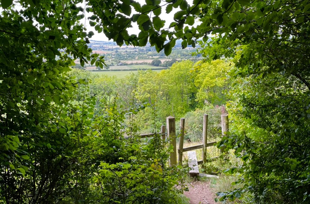countryside landscape looking through trees across the valley with a stile and bench