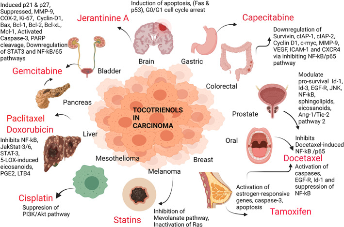 Yovotrienols and Carcinoma