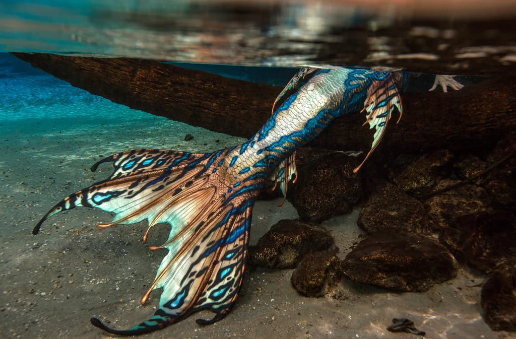 A shimmering copper, white, and blue tail by Merbella.