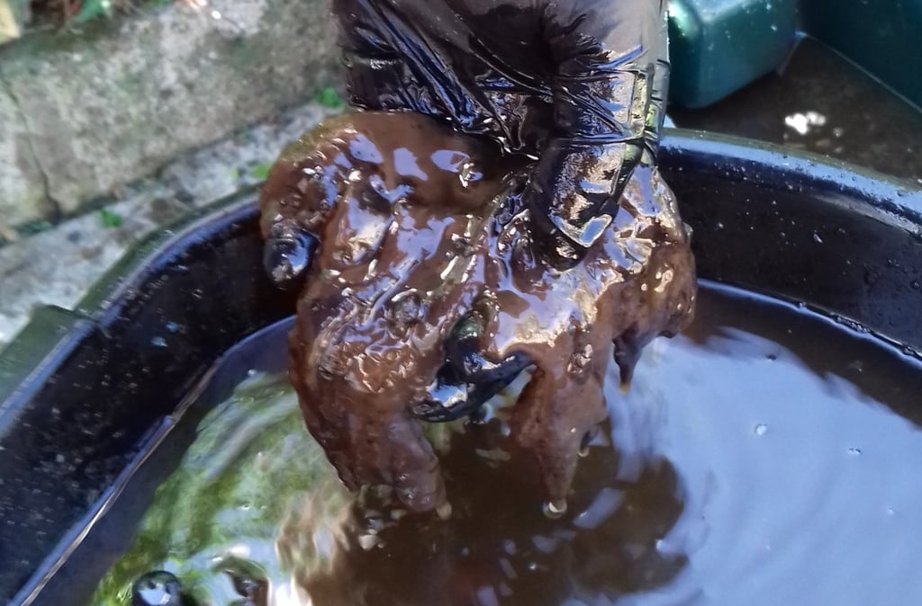 contaminated heating oil fuel Huntshaw near Torrington