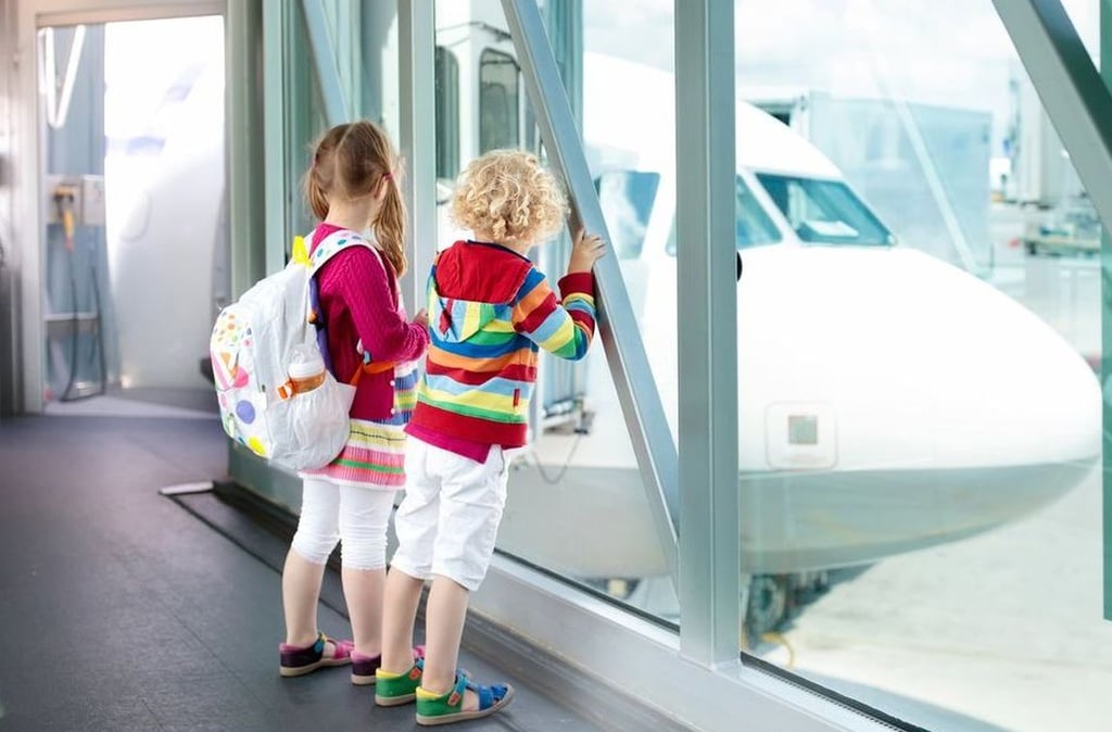Safety of Air Travel by Unaccompanied Minors  (Children Traveling Alone by Air)