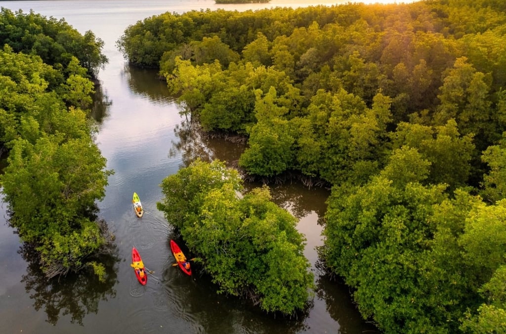 Ban Tha Din Deang Community kayaking phang nga thai mueang