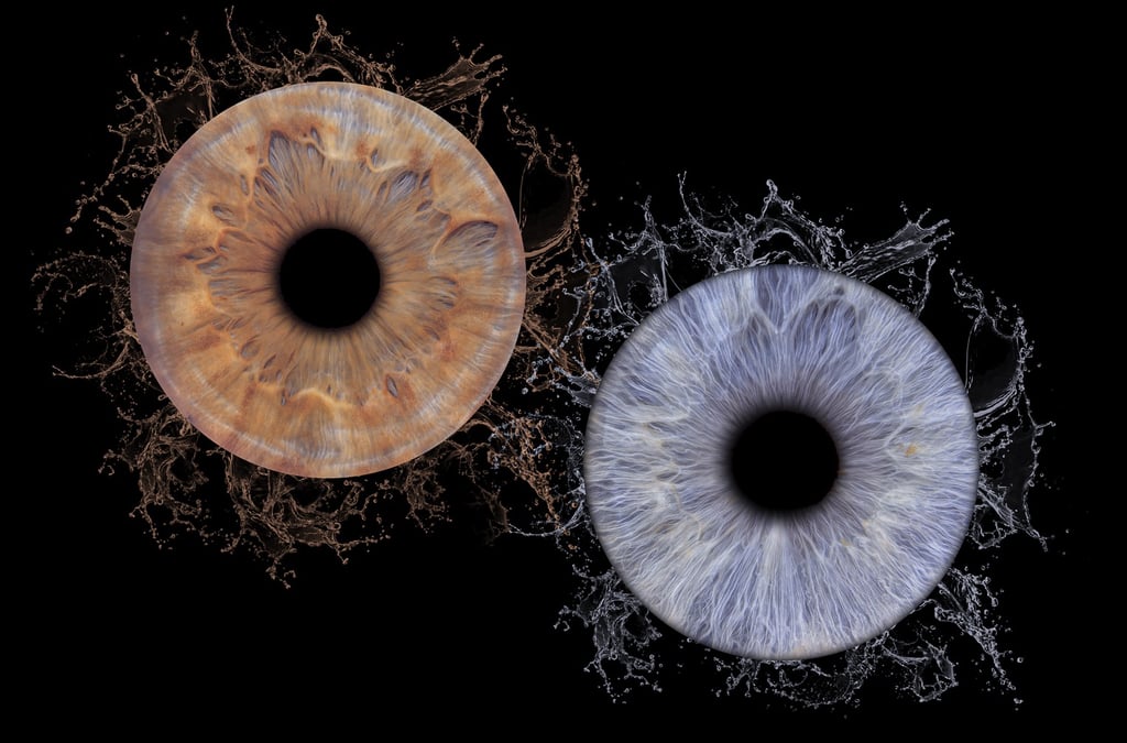 idée cadeau saint Valentin Bordeaux