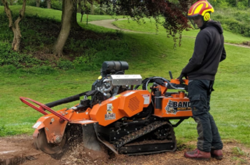 stump removal nottingham