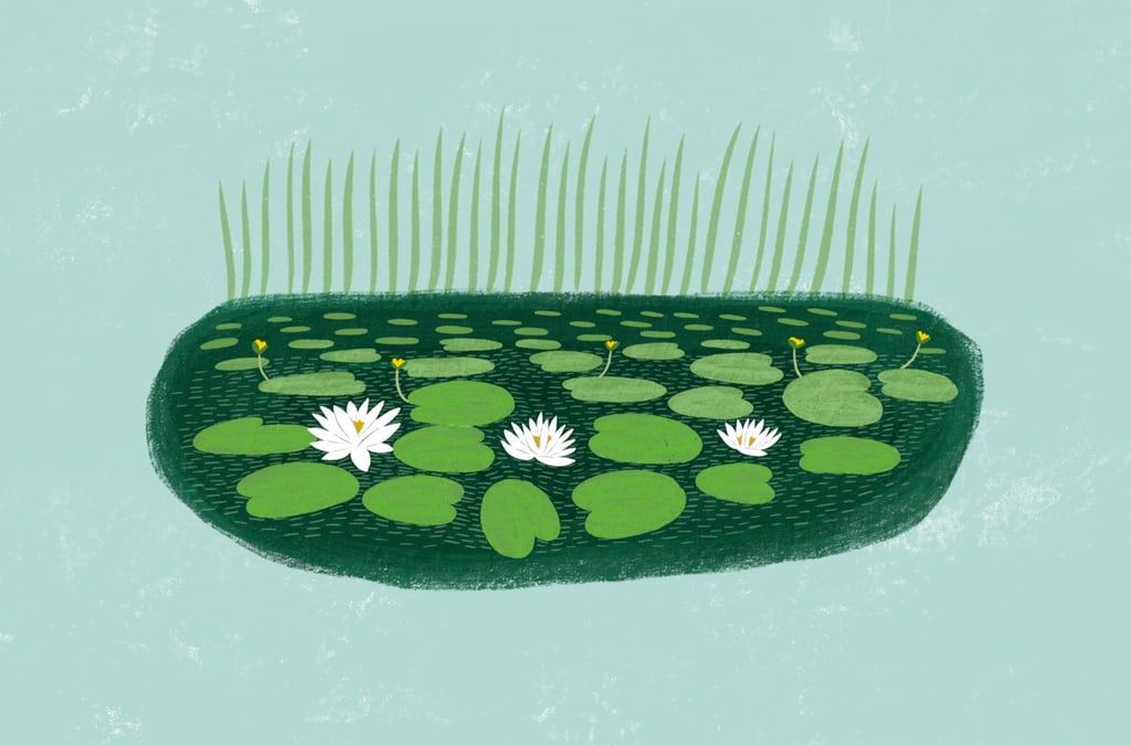 An illustration of a pond with water lilies.