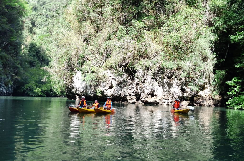krabi ao thalane mangrove forest kayaking