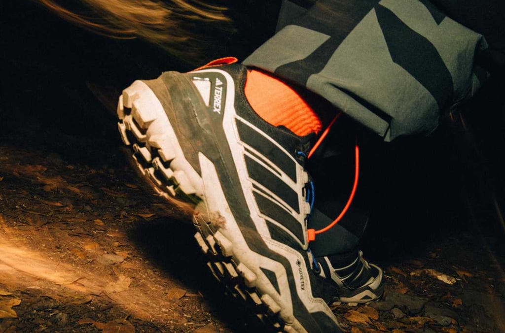 Adidas Terrex Skychaser Gore Tex 2025