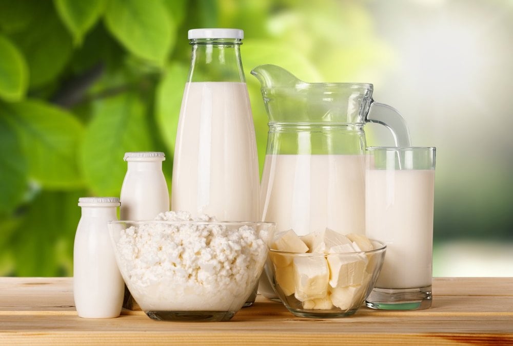 O que é Milk Protein?