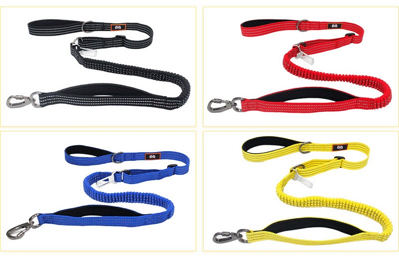 Dog Leash