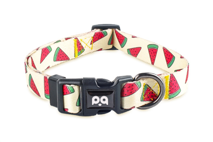 Dog Collar