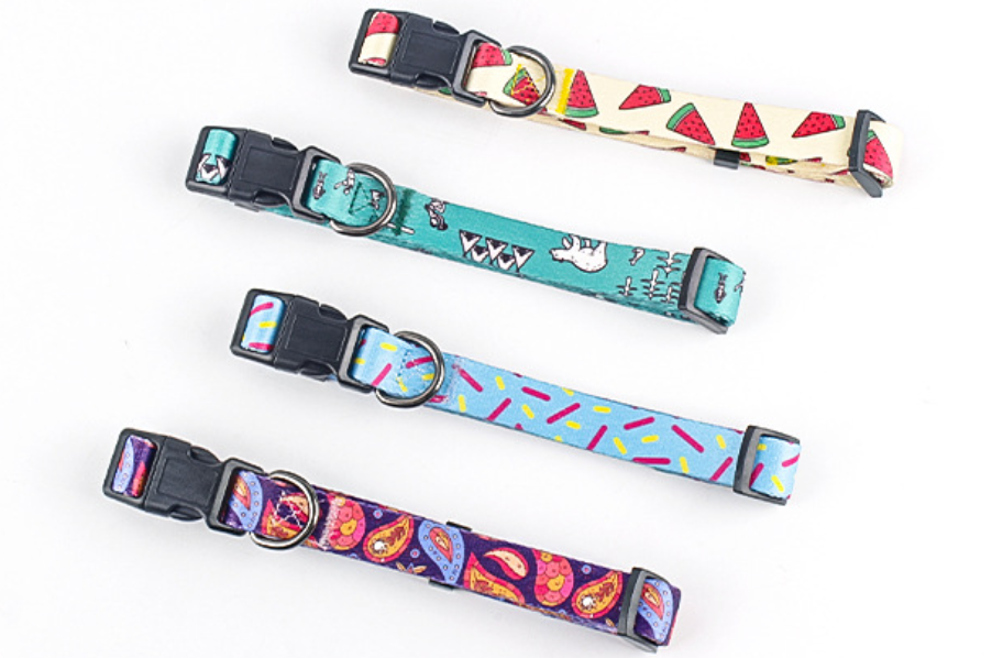 Dog Collar