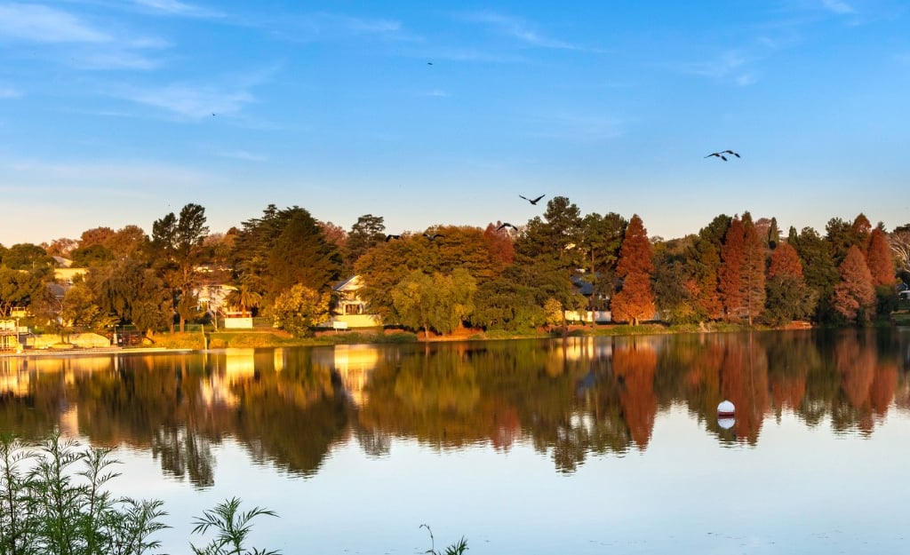 Johannesburg Botanical Gardens and Emmarentia Dam