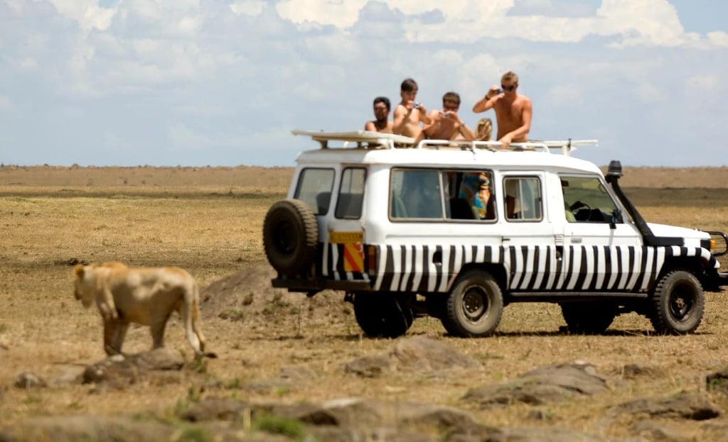Lion & Safari Park, Johannesburg, South Africa: