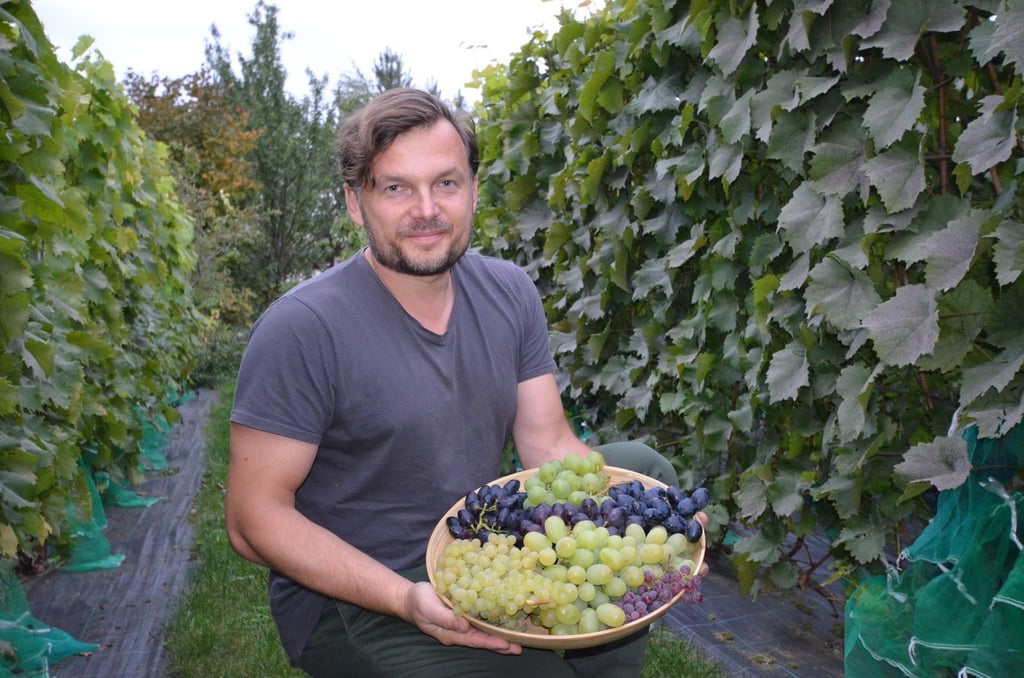 Andrius Diliautas
