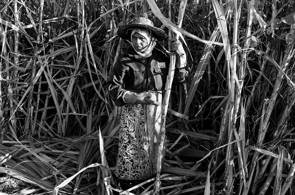 Mauritian woman in traditional attire cutting sugarcane, Cape Town Photography Festival 2025.