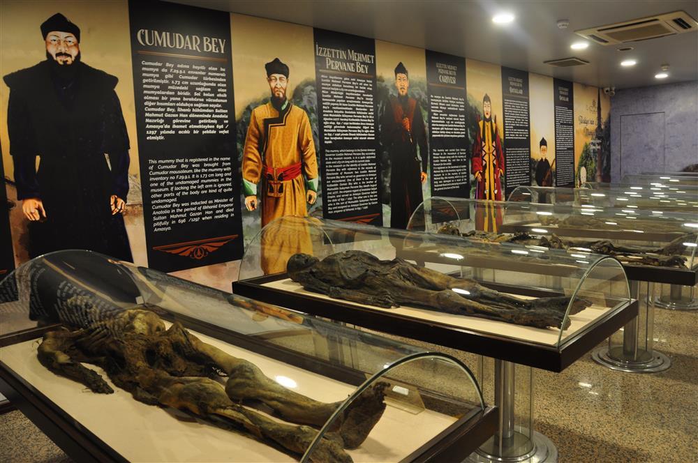 Ancient mummies on display in glass cases at the Amasya Archeological Museum in Turkey.