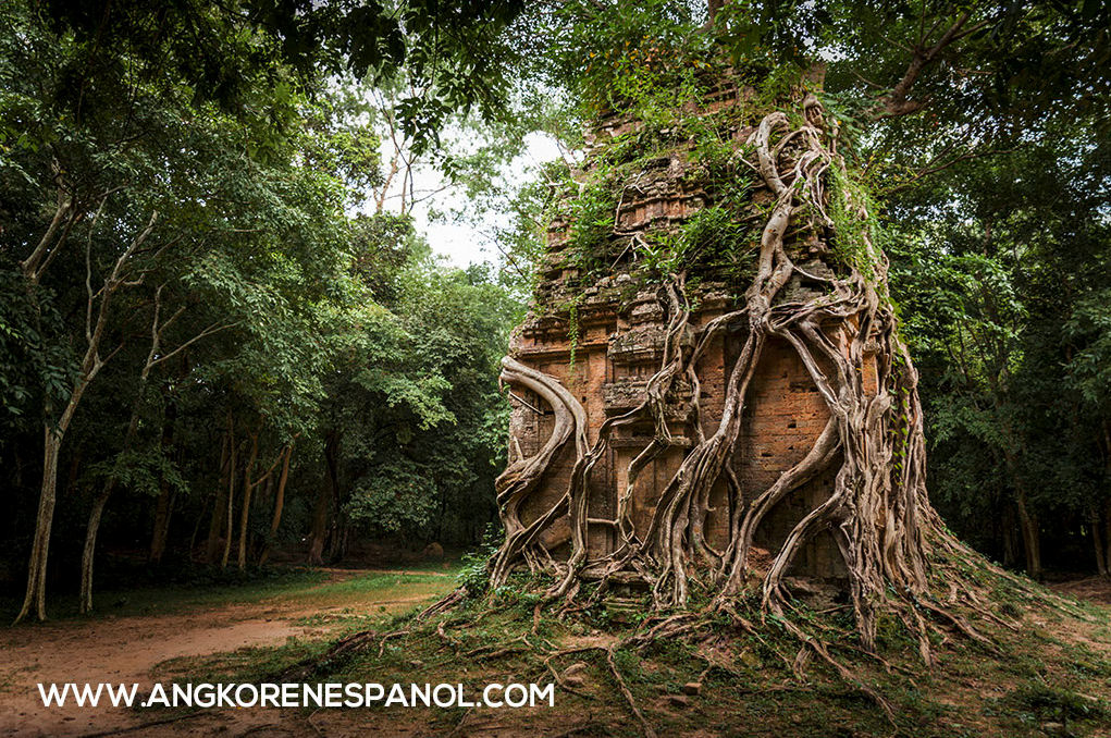 Templo Pre-Angkoriano en Sambor Prei Kuk