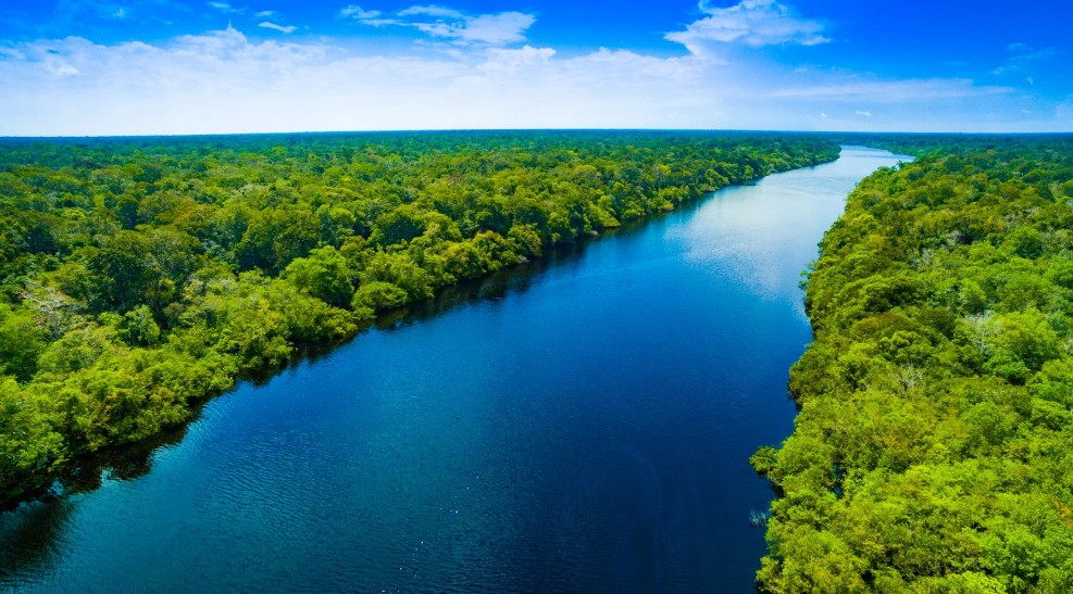 Amazon Rainforest (Iquitos & Tambopata), Peru