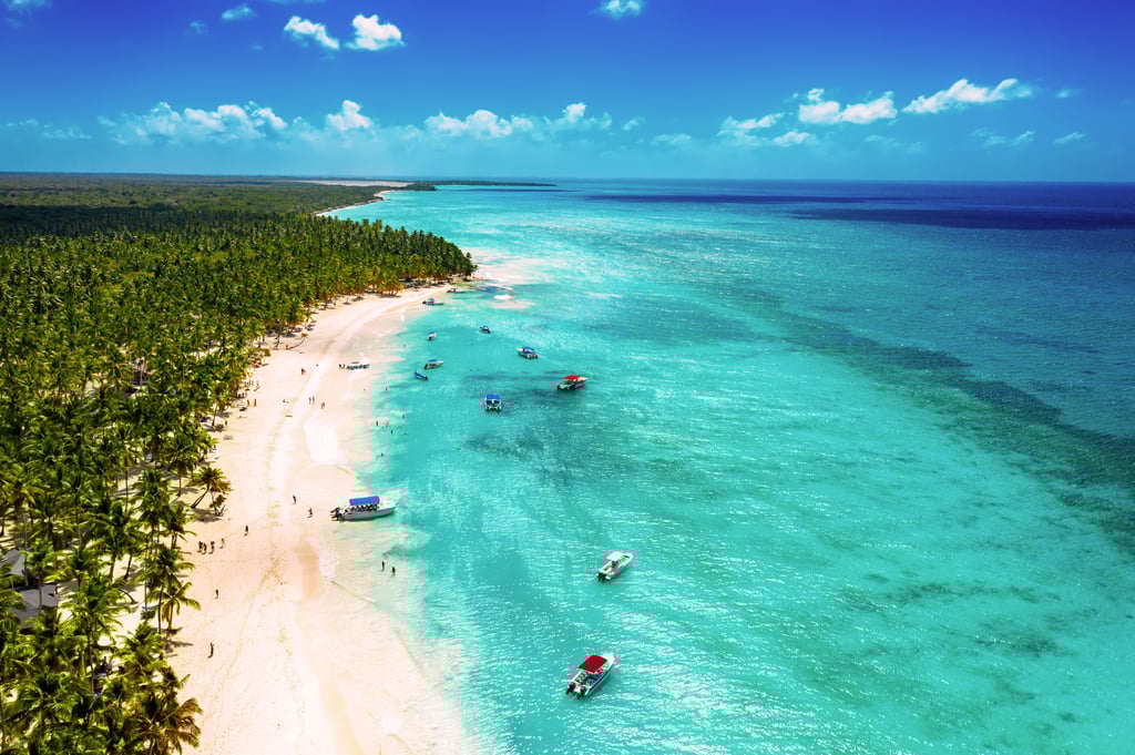 An aerial view of boats anchored along a tropical beach lined with palm trees on Saona Island, Domi