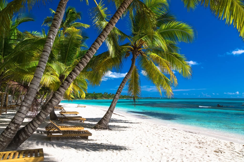 Saona Island beach in Dominican Republic with white sand, turquoise sea and palm trees