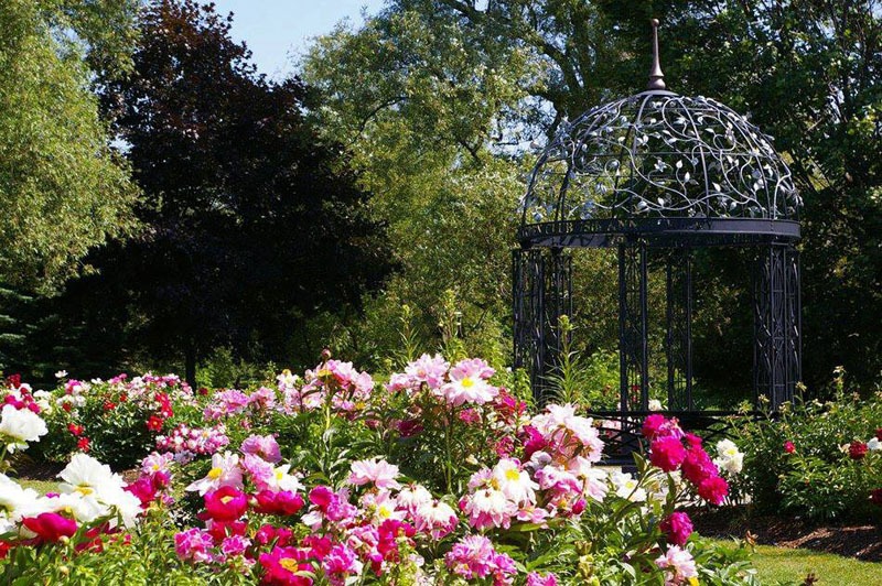 Tonnelle de jardin pavillon arche en métal