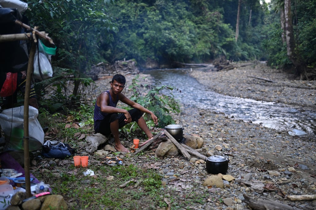 About Us Sumatra Orangutans