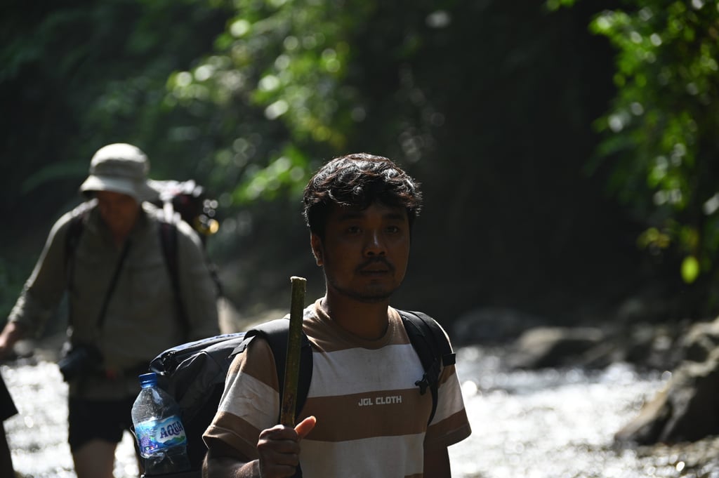 About Us Sumatra Orangutans
