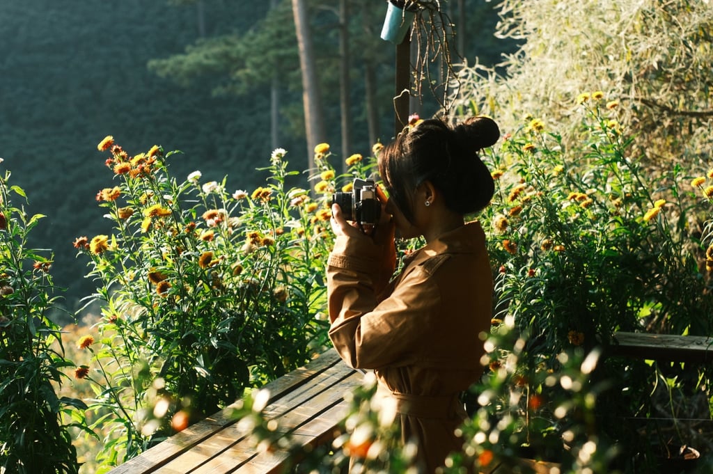Những kinh nghiệm bỏ túi khi sử dụng công thức màu Fujifilm Recipes