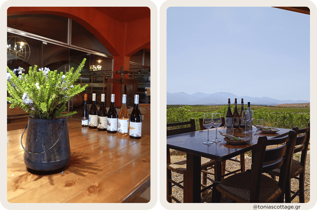 Lyrarakis Winery in Crete, with a table set for lunch in the vineyard and bottles of wine