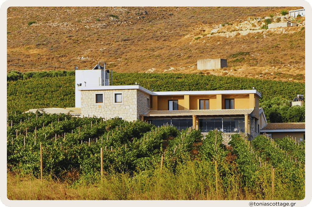 View of Domaine Paterianakis, with its stone building and surrounding vineyards