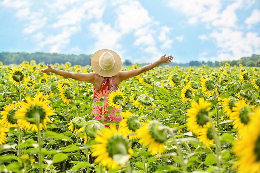 woman-in-sunflowers