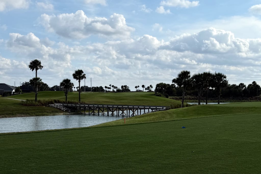 Peaceful daytime view of a golf course in The Villages with water, palms, and wide open greens