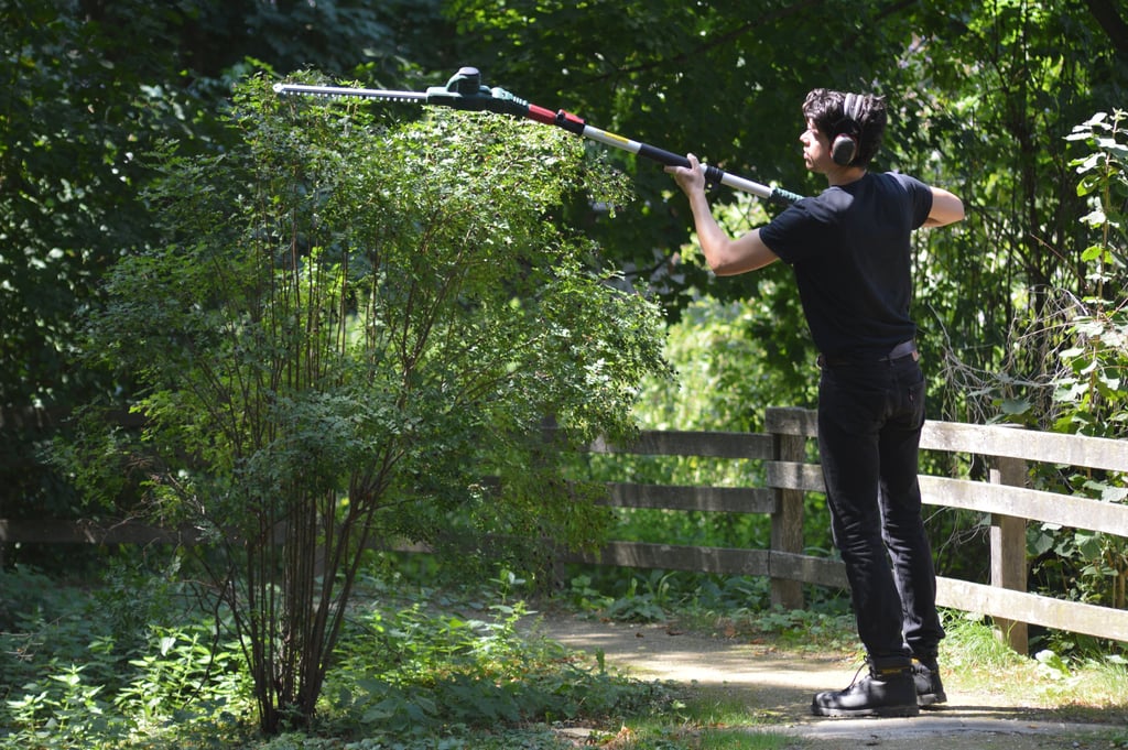 Taille de haies et d'arbustes à Soisy-sur-Seine et aux alentours.