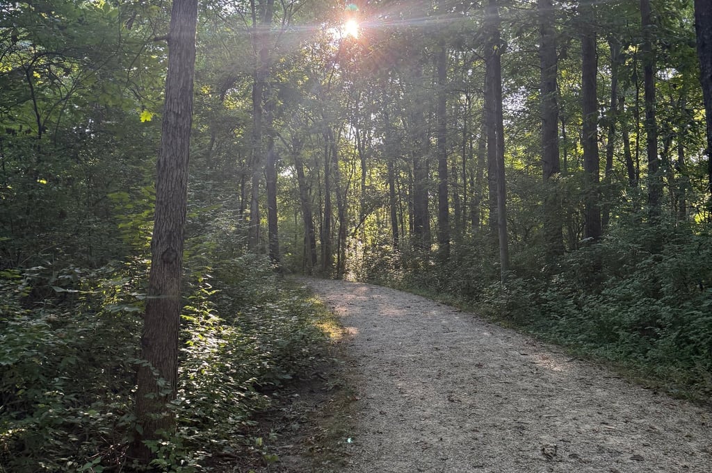 a dirt road with a dirt road and trees