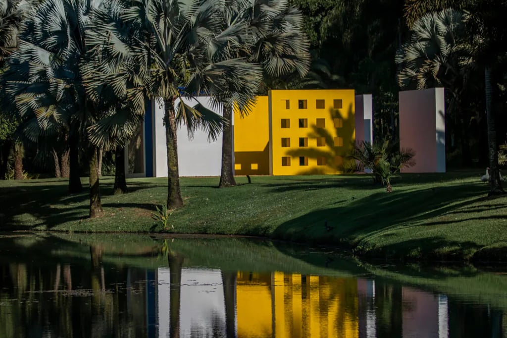 Jardim botânico de Inhotim: Uma vista panorâmica de espécies raras e uma escultura única em meio à n