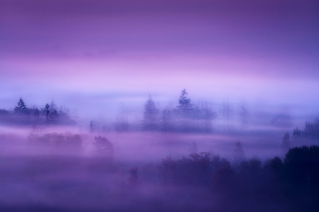 Landscape photographié par David Keochkerian