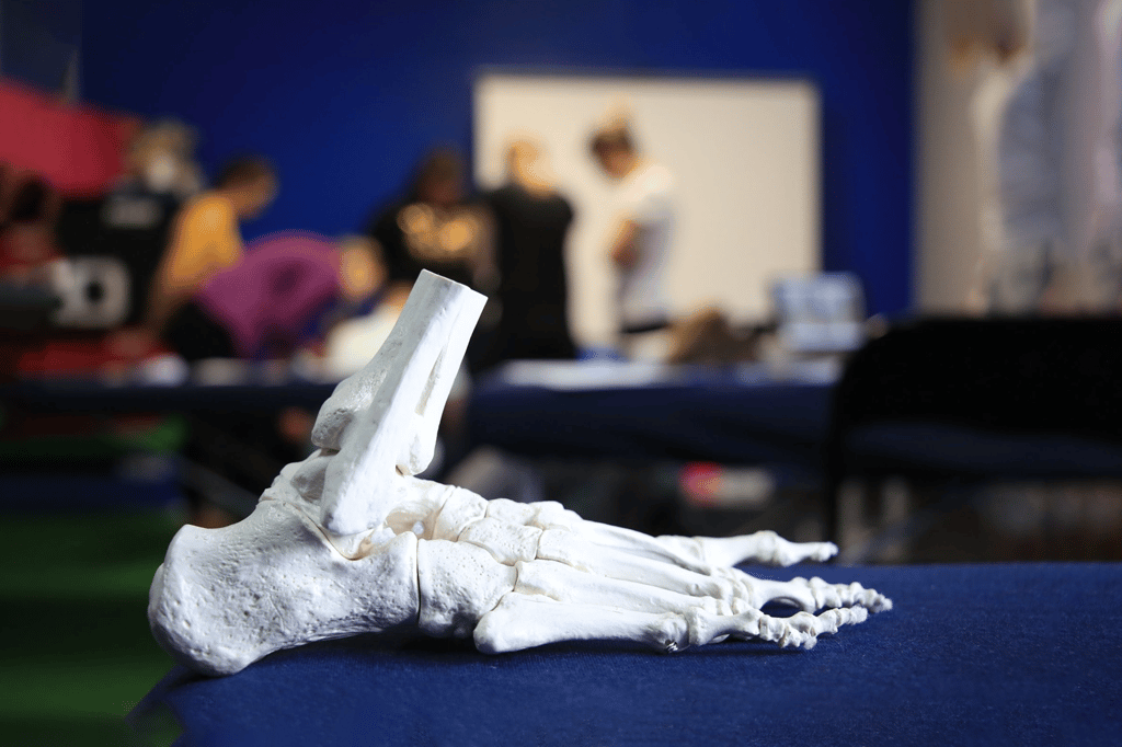 Szkolenia Stopa Fizjoterapia