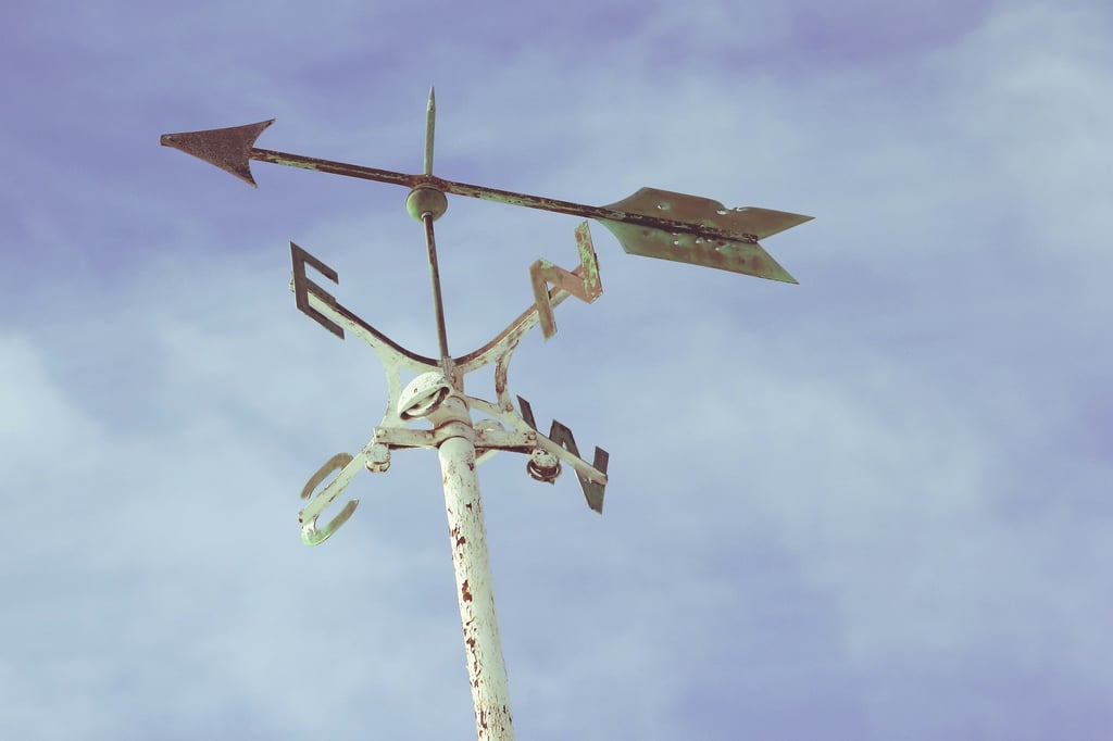 clear objectives direction results