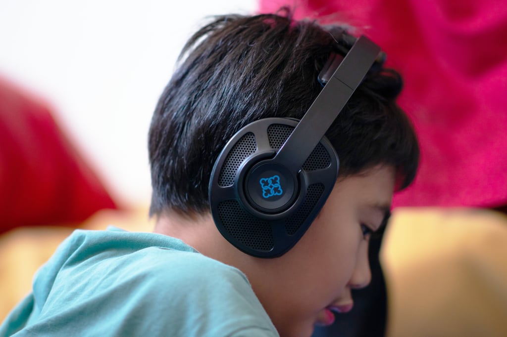 Therapeutic Listening (TL)