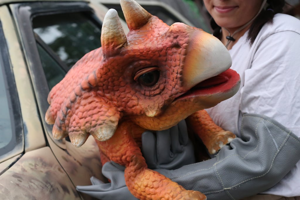 Tracy the triceratops