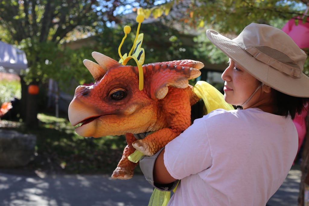 The triceratops dressed for halloween