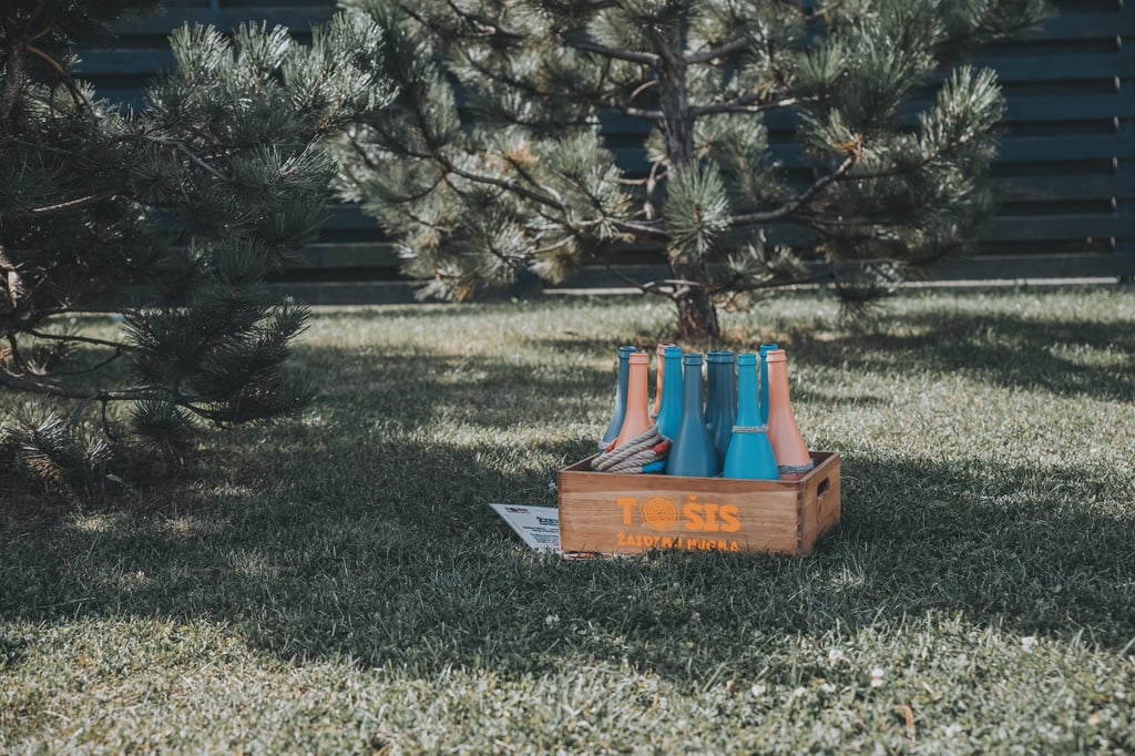 TOŠIS žaidimų nuoma Klaipėdoje - vestuvėms, gimtadieniams, krikštynoms