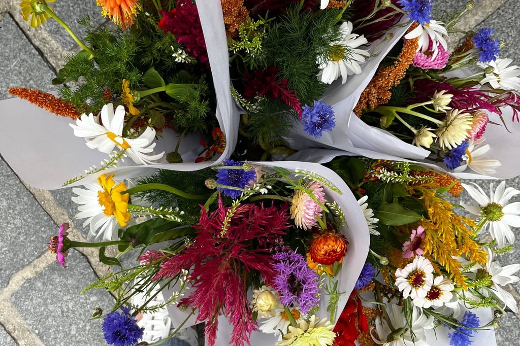 bouquet du marché de fleurs des champs française 