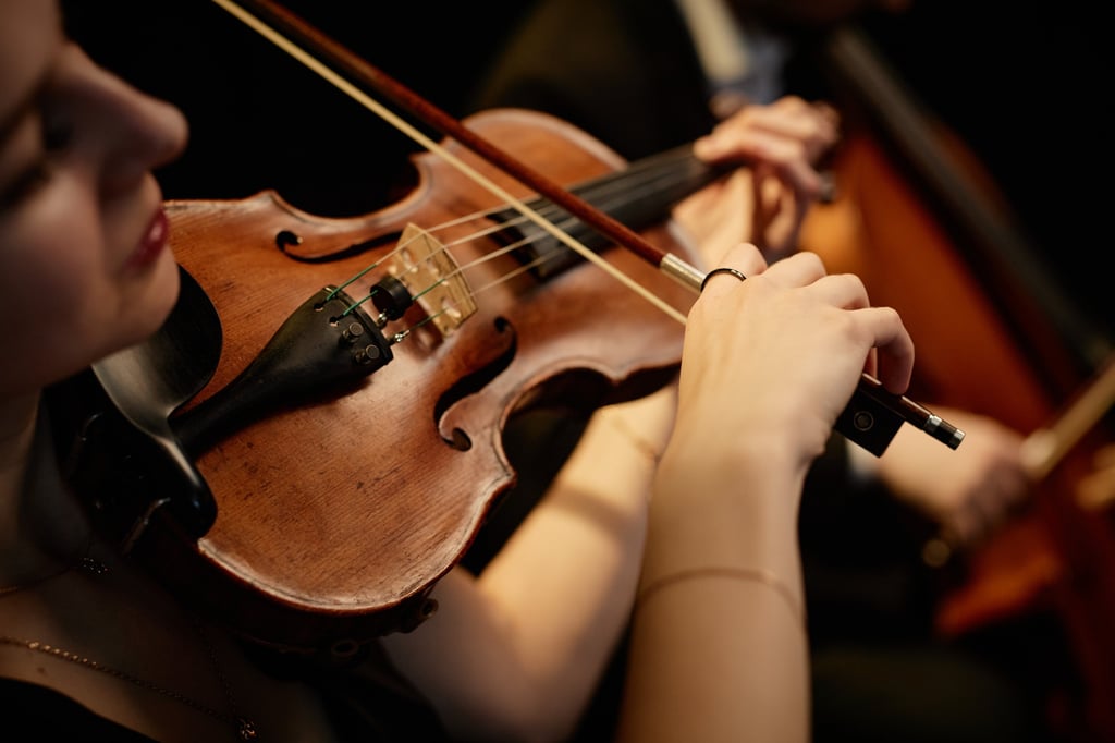 Musician performing