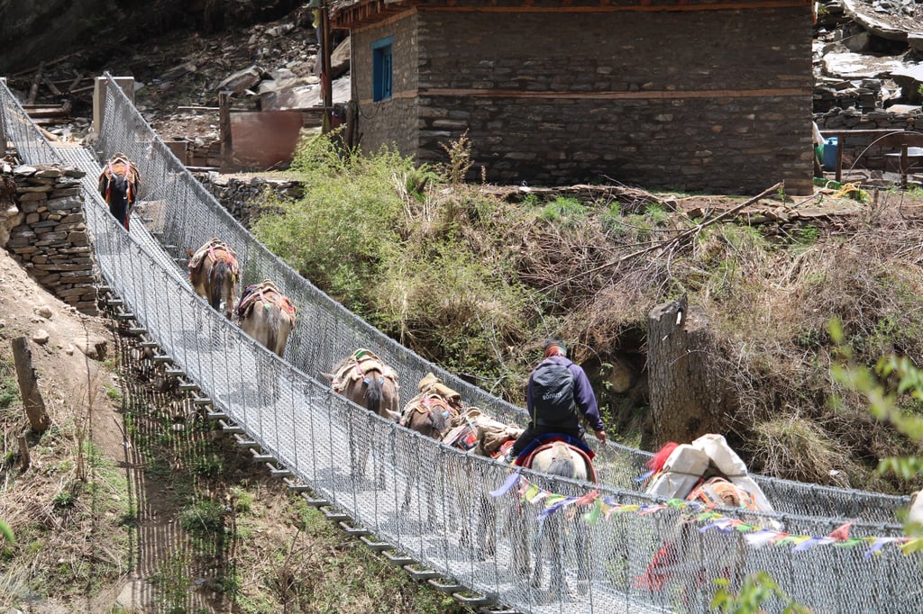 Bridge in Phoksundo trek