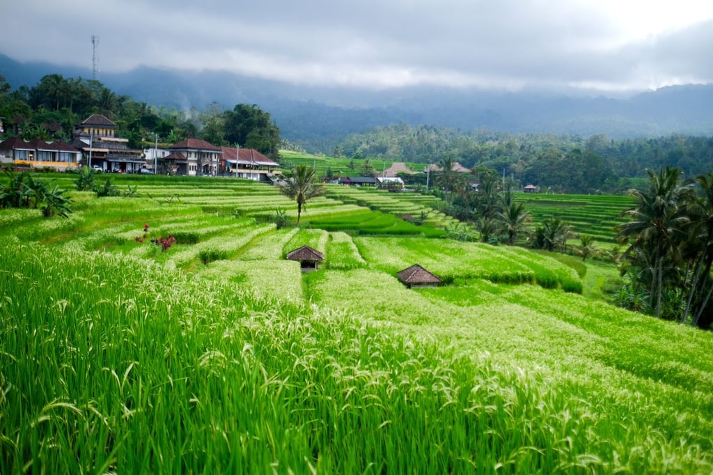 Jatiluwih Bali