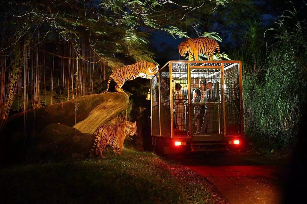 Bali Safari Night Safari