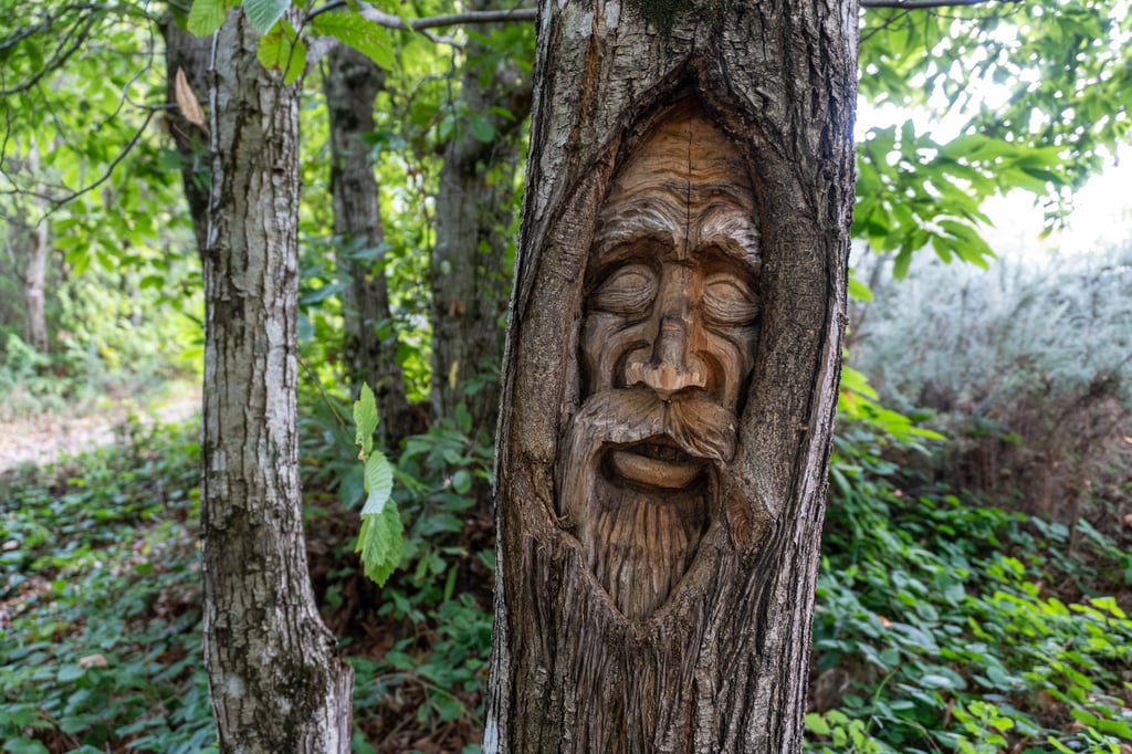 Detailed wood carving of an old man's face on a tree trunk in a lush forest setting.
