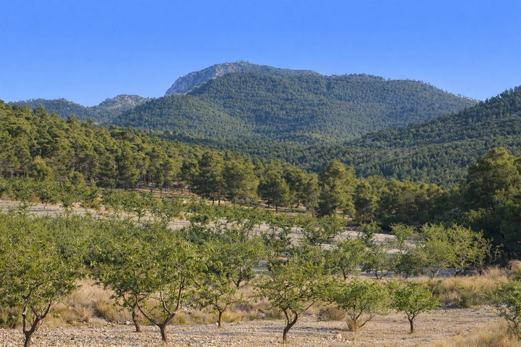sierra de la pila fotuna abanilla murcia noreste