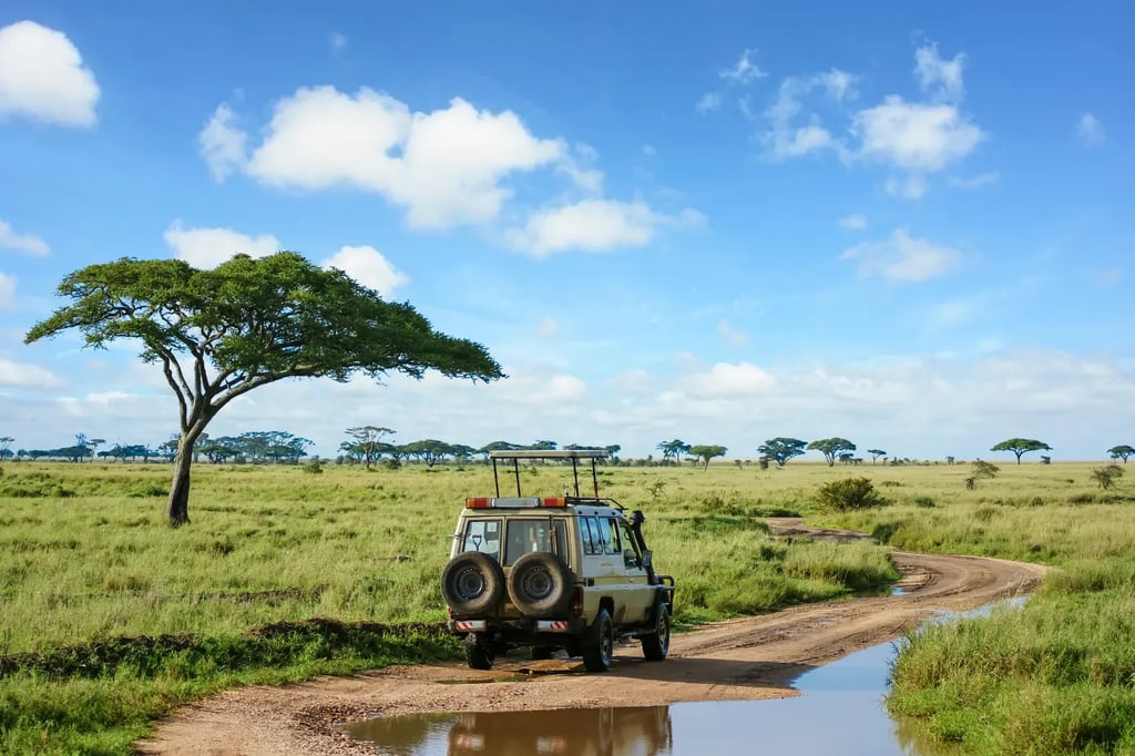 Safari vehicle driving on dirt road through African savanna with acacia tree and scattered clouds un